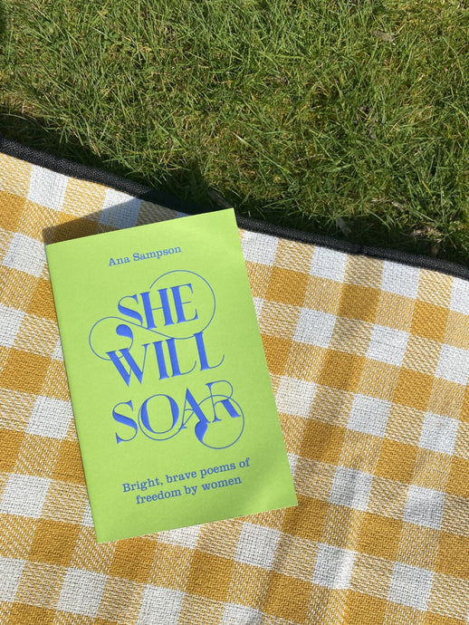 Recommended Reading: She Will Soar